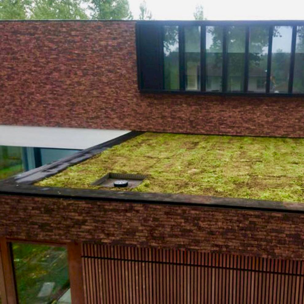 Groendak 4 redenen waarom groendaken een aanwinst zijn voor jouw gebouw